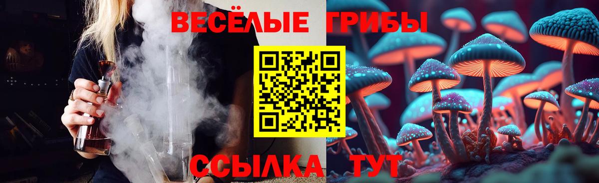 Псилоцибиновые грибы GOLDEN TEACHER Туймазы
